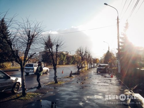 ДТП в Шепетівці: водій збив дерево