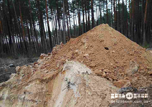 Припинили незаконний видобуток унікального мінералу на землях Шепетівського військового лісгоспу