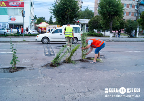 У Шепетівці активісти засадили ями на дорогах кущами
