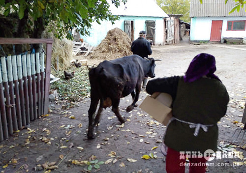 У Славутському районі оперативно затримали злодія, який продав чужу корову
