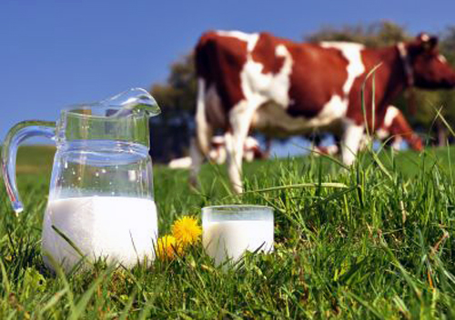 На Хмельниччині призупинили роботу виробника молочки через виявлені порушення