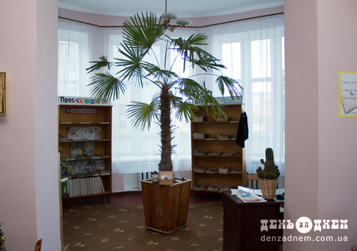 До ювілею дитячої бібліотеки розквітне пальма, що здійснює бажання
