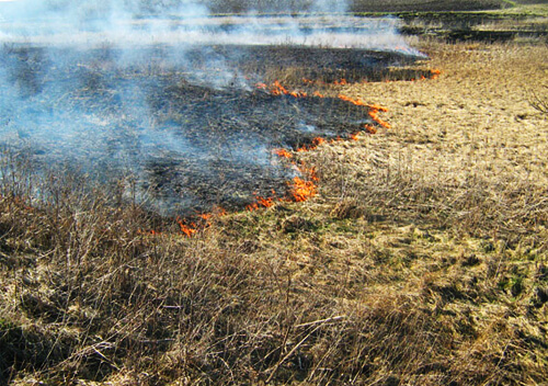 На Хмельниччині через підпали п’ять разів за добу горіла суха рослинність