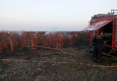 На Шепетівщині згоріло 2 гектари міскантуса