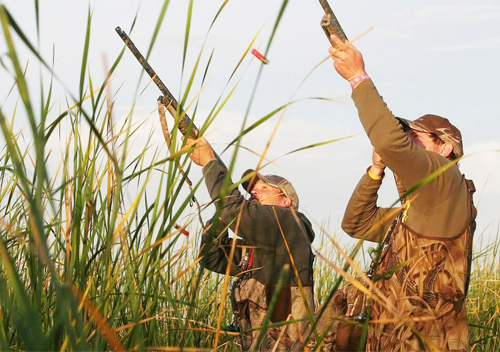 З 4 серпня на Шепетівщині розпочинається сезон полювання на пернатих