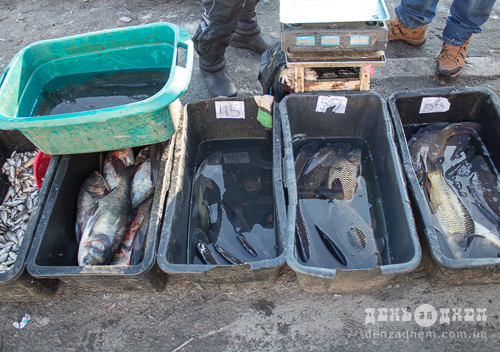 Мешканку Полонського району оштрафували за збут риби на 510 гривень