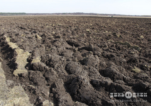 В Ізяславському районі припинили незаконне використання 317 гектарів землі