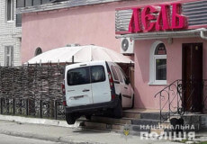 Цуценя хаскі спричинило курйозну ДТП у Нетішині