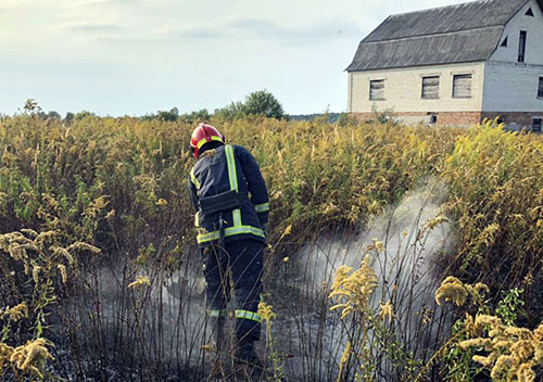 У Шепетівці через пожежу сухої трави могли загорітися житлові будинки