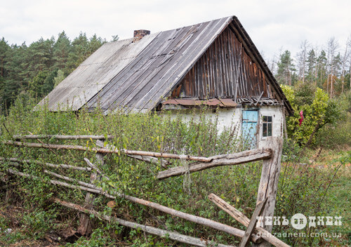 У гущавині лісу на межі двох районів Хмельнич­чини одиноко проживає старенька бабуся