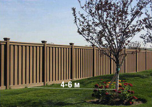 Висаджуєте дерева — виміряйте 4 метри від межі з сусідами