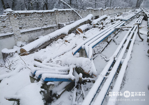 На стадіоні «Локомотив» під час видалення дерев сталася нестандартна ситуація