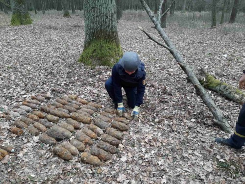 У лісосмузі неподалік Шепетівки виявили арсенал боєприпасів часів Другої світової війни