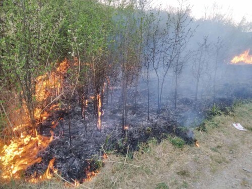 У Нетішині неподалік автозаправки ОККО сталася пожежа