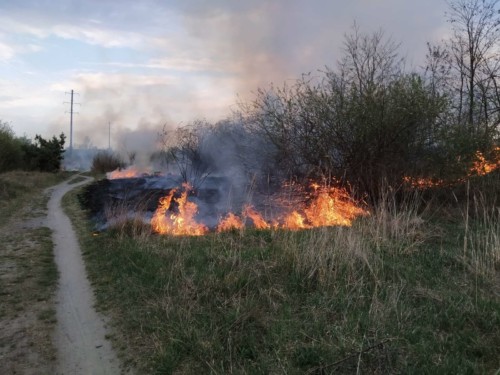 У Нетішині неподалік автозаправки ОККО сталася пожежа