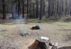 У лісі на Славутчині діти разом із двома доросли­ми загасили полум’я