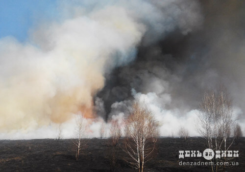Шепетівські надзвичайники рятували Чорнобильську зону від вогню