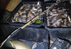 Понад центнер риби електровудкою виловив браконьєр на Хмельниччині