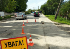 У Славуті внаслідок ДТП травмувався 73-річний велосипедист, його стан — важкий