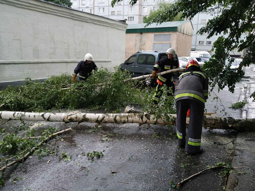 У Нетішині дерево впало на припаркований автомобіль