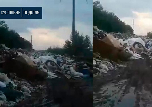 Комунальники Красилова тиждень скидали сміття на сільську дорогу
