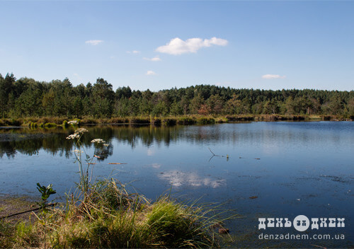 Сільрада передала у приватну власність 20 га ландшафтного парку на Шепетівщині