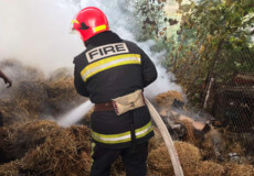 У селі на Шепетівщині згоріло понад три тонни сіна