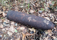 На Шепетівщині грибники знайшли вибухонебез­печний предмет