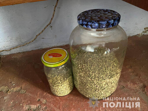 На Хмельниччині група буковинців незаконно вирощувала коноплю, щоб виготовляти гашиш