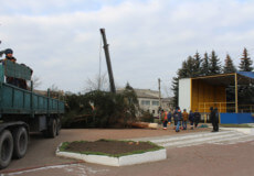 У Славуті підприємець подарував місту 16-метрову ялинку