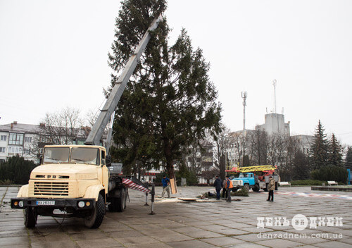 На станції Шепетівка-Подільська зрізали 20-метрову ялинку для новорічних святкувань