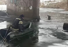 У Полонному рятували собаку, яка провалилася під лід