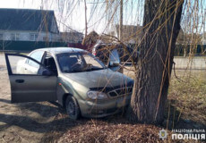 У Шепетівському районі 23-річна жінка вкрала авто та в’їхала на ньому в дерево