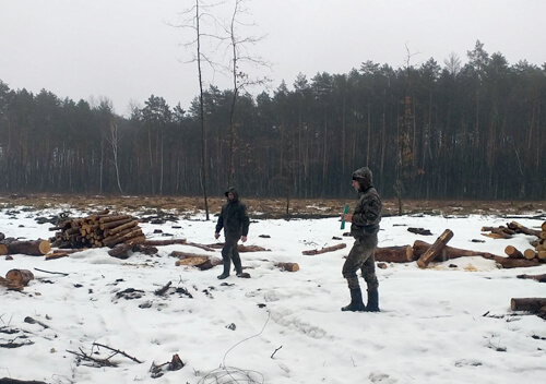 На території ландшафт­ного парку лісокомуналь­не підприємство незаконно вирубало на 11 мільйонів дерев