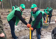 Чиновники Шепетівського району долучилися до акції «Створюємо ліси разом»