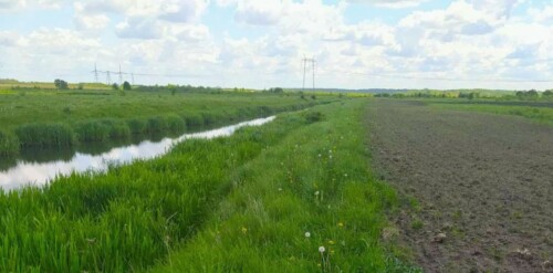 У Шепетівському районі аграрна фірма розорала прибережну смугу річки Корчик