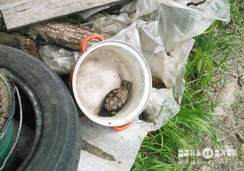 У Шепетівці жінка копала город і знайшла гранату часів війни