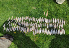 Рибу, яку виловив браконьєр на Славутчині, передали інтернату