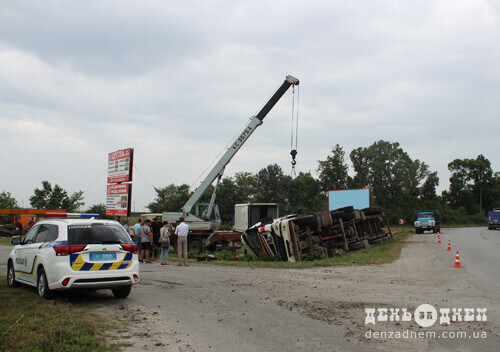 ДТП зі свиньми у Шепетівці: частина залишилася у вантажівці, інші забрели на автозаправку, майже десяток — загинуло