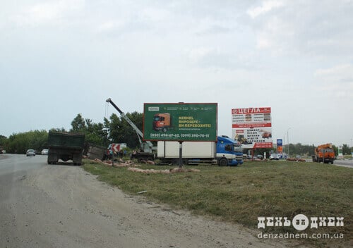 ДТП зі свиньми у Шепетівці: частина залишилася у вантажівці, інші забрели на автозаправку, майже десяток — загинуло