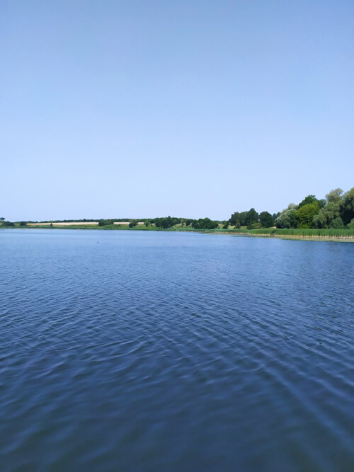На Полонщині екоінспектори виявили зниження рівня розчиненого кисню в річці Хоморі