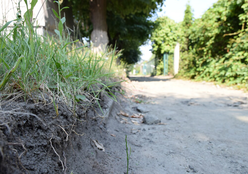 У Шепетівці «ювелірно» знімають шар ґрунту біля насаджень на одній з центральних вулиць