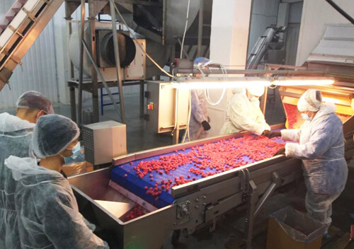 У Шепетівці перевірили підприємство, яке постачає ягоди до країн ЄС