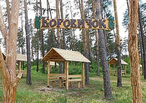 Родзинкою зони відпочинку одного лісництв у Шепетівському районі є гліцеринові води