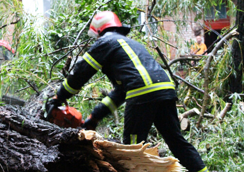 На Хмельниччині внаслідок негоди повалило дерева та підтопило будівлі