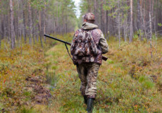 На Шепетівщині 6 листо­па­да розпочнеться сезон полювання на звірів