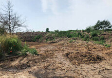 На Шепетівщині земельну ділянку райавтодору забруднили відходами