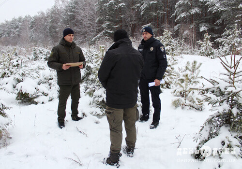 Щороку ДП «Шепетівський лісгосп» продає майже 3 тисячі новорічних дерев