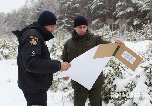 Щороку ДП «Шепетівський лісгосп» продає майже 3 тисячі новорічних дерев