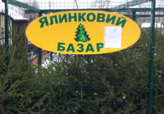 В одному з лісництв Шепетівщини розпочав роботу ялинковий базар 
